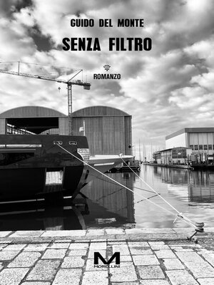 cover image of Senza filtro